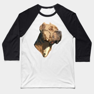 American bully XL Baseball T-Shirt